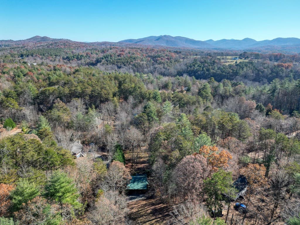 518 Rizzitello Lane, Blairsville GA 30512 - Photo