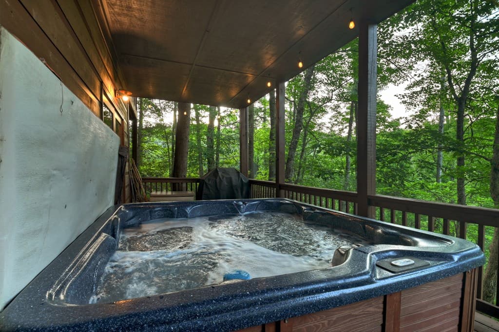 550 Hillsdale Drive, Ellijay GA 30540 - Photo