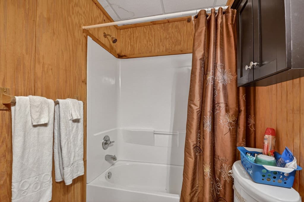 550 Hillsdale Drive, Ellijay GA 30540 - Photo