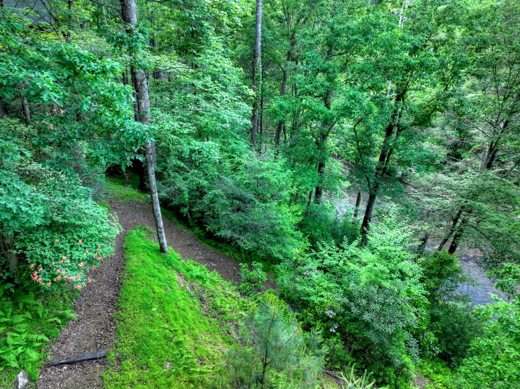 550 Hillsdale Drive, Ellijay GA 30540 - Photo