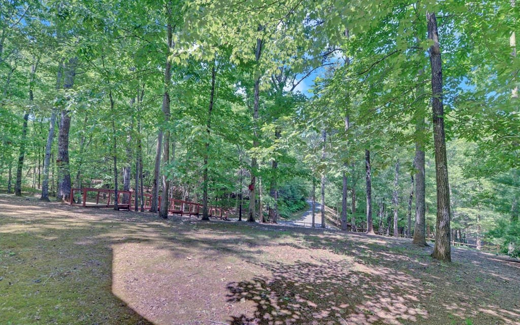 164 Dew Drop Lane, Murphy NC 28906 - Photo