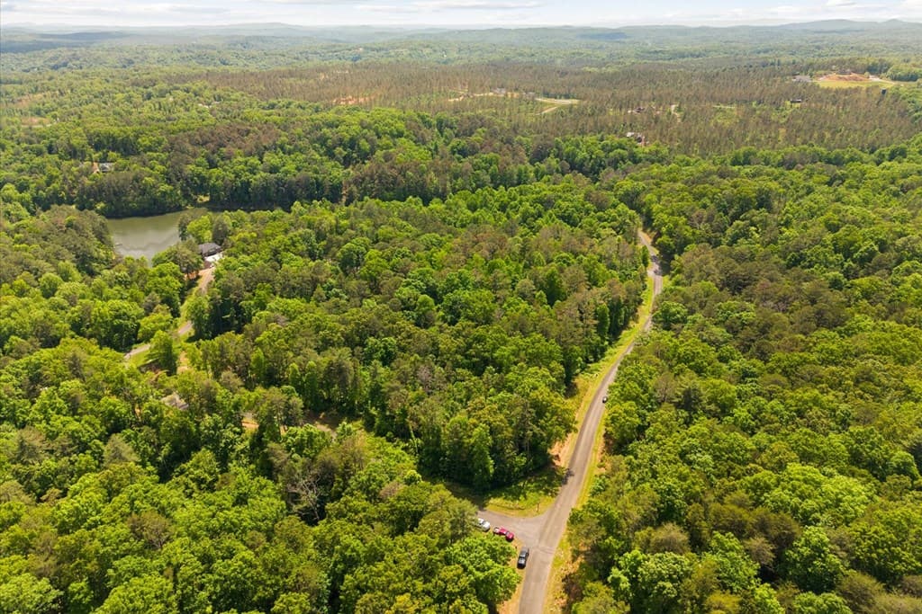 Lot 240 Pinnacle Dr, Ellijay GA 30540 - Photo