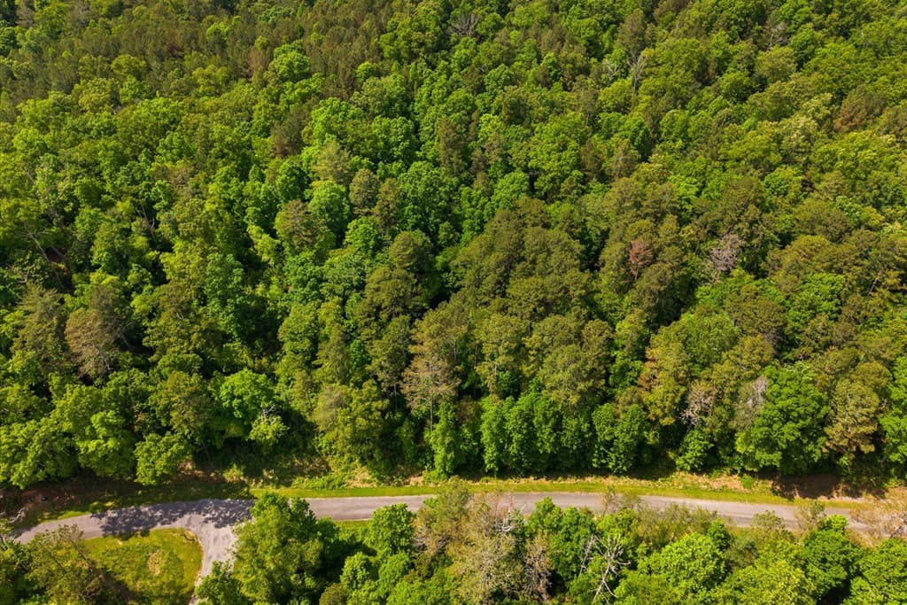 Lot 240 Pinnacle Dr, Ellijay GA 30540 - Photo