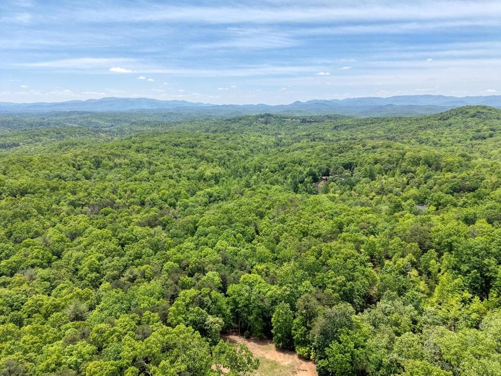 57.30 AC Stuart View Drive, Mineral Bluff GA 30512 - Primary photo