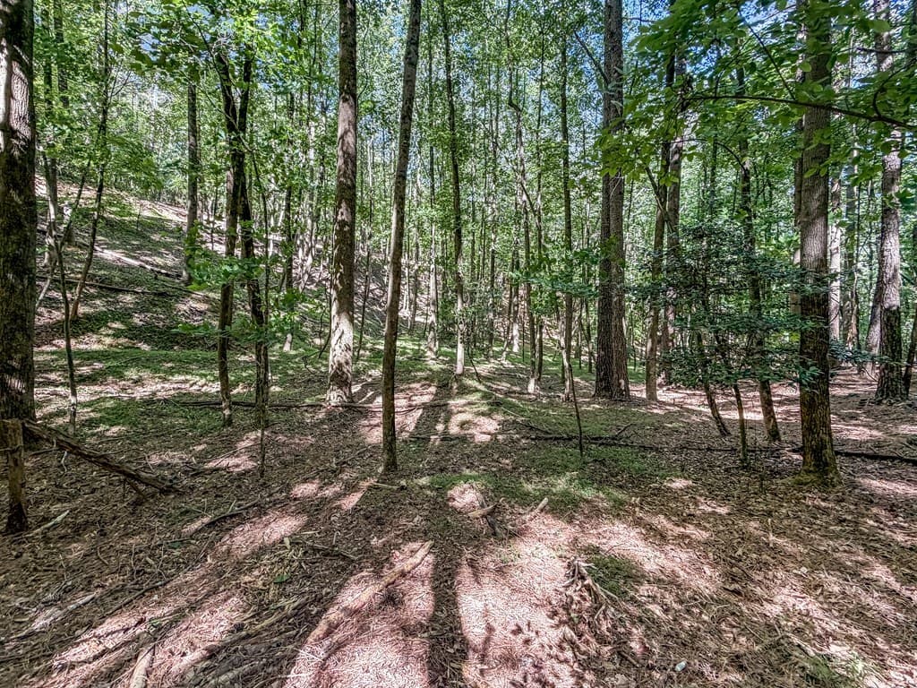 Lot 26 Estates Drive, Ellijay GA 30540 - Photo