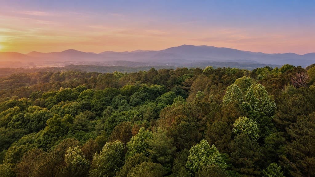 Lot 26 Estates Drive, Ellijay GA 30540 - Photo