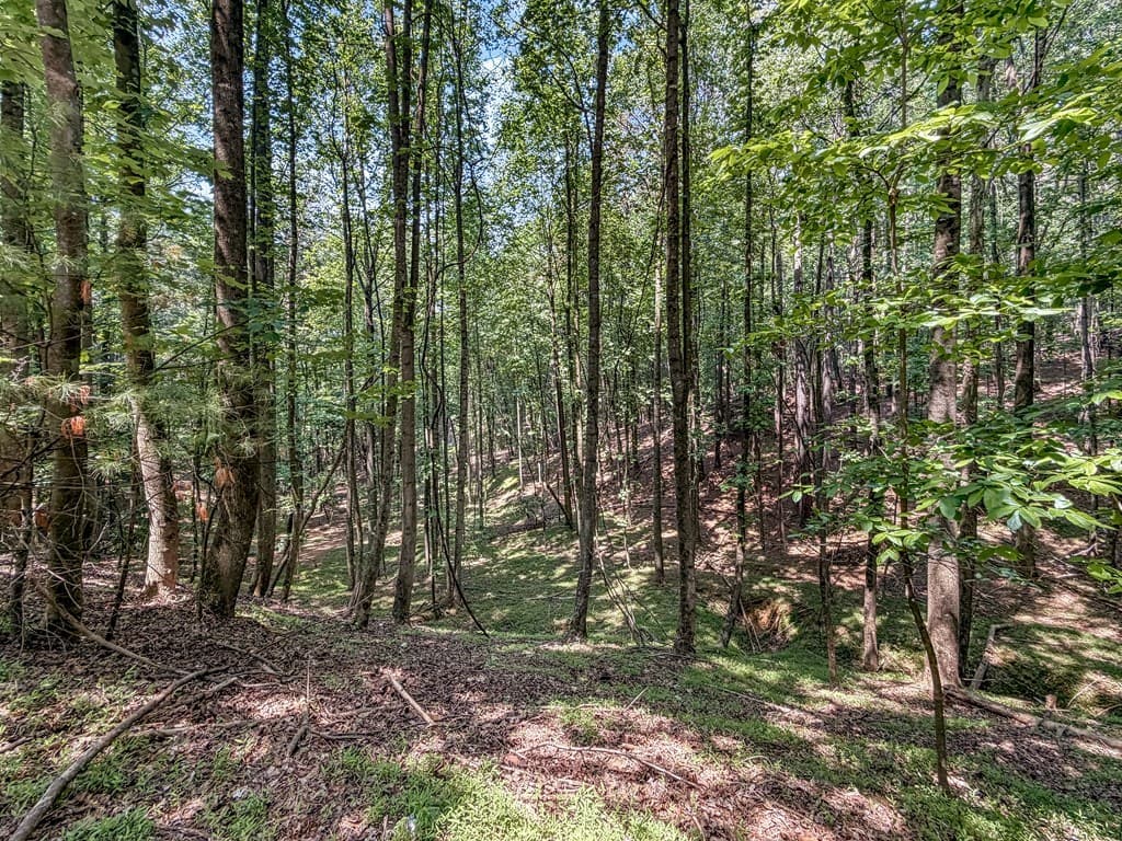 Lot 26 Estates Drive, Ellijay GA 30540 - Photo