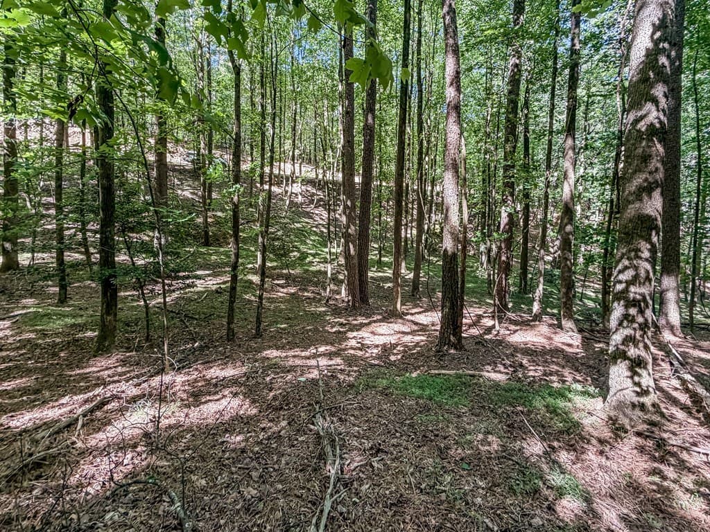 Lot 26 Estates Drive, Ellijay GA 30540 - Photo