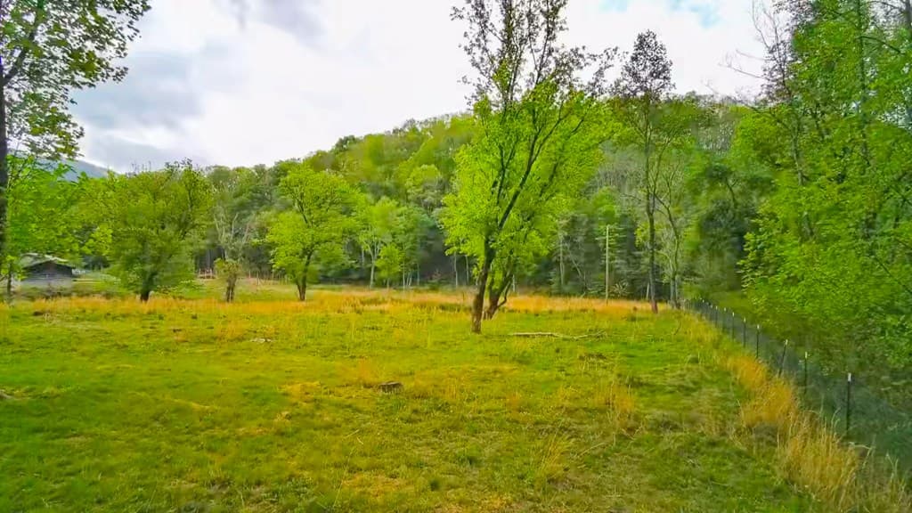 3325 Pack Mountain Road, Murphy NC 28906 - Photo