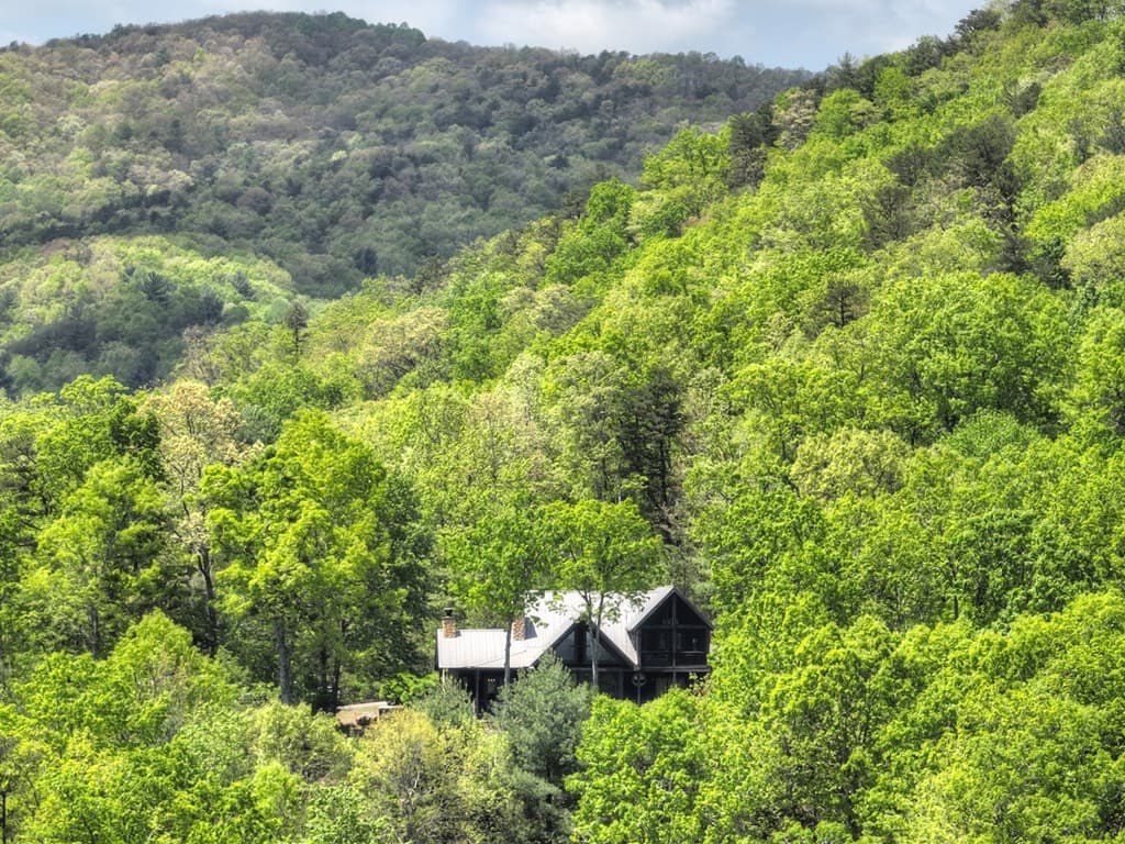46 Cochise Road, Blue Ridge GA 30513 - Photo