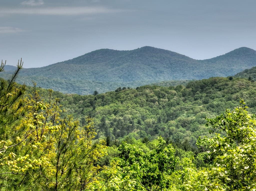 46 Cochise Road, Blue Ridge GA 30513 - Photo