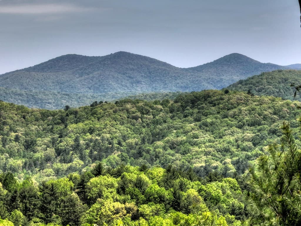 46 Cochise Road, Blue Ridge GA 30513 - Photo