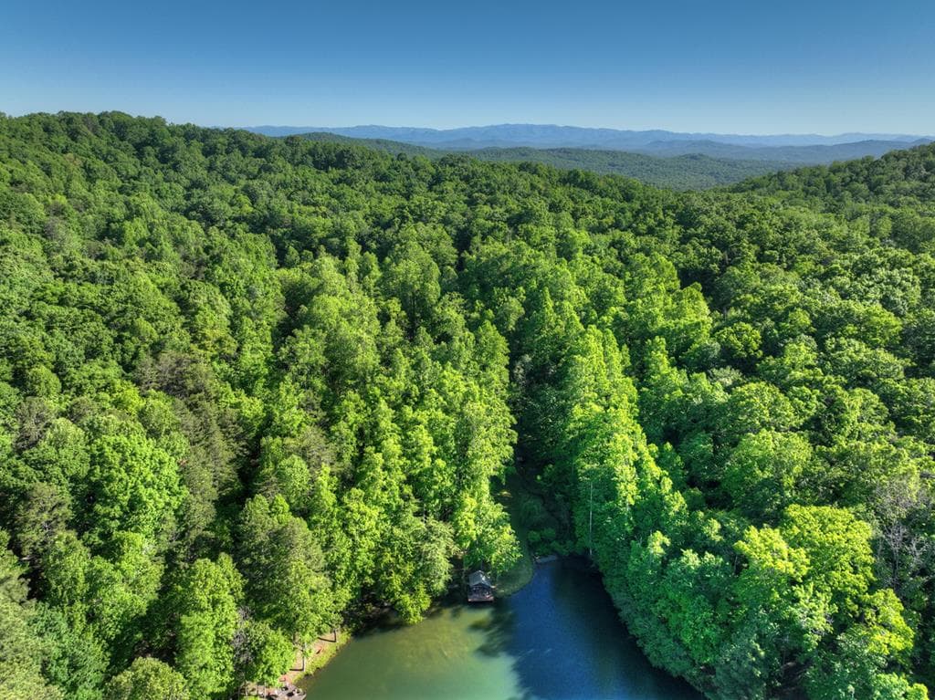 11 Mattie Mitchell Road, Morganton GA 30560 - Photo