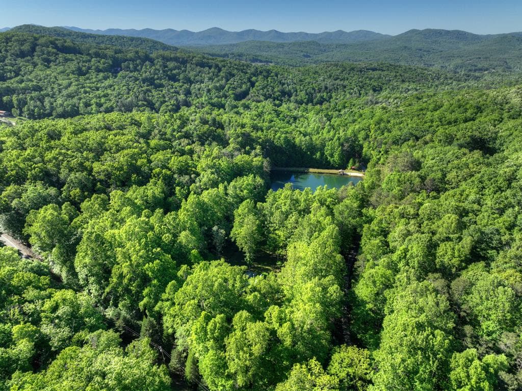 11 Mattie Mitchell Road, Morganton GA 30560 - Photo
