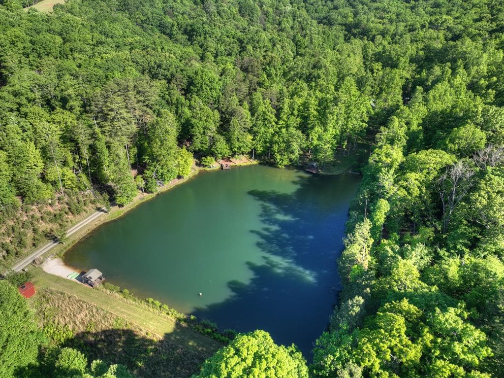 11 Mattie Mitchell Road, Morganton GA 30560 - Photo