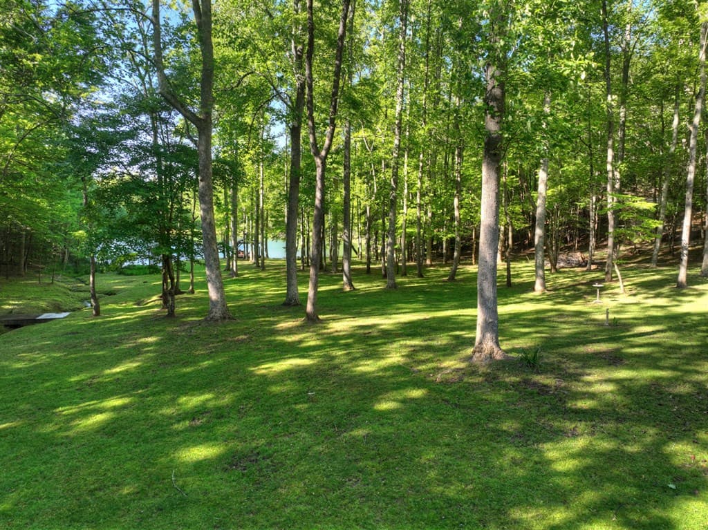 11 Mattie Mitchell Road, Morganton GA 30560 - Photo