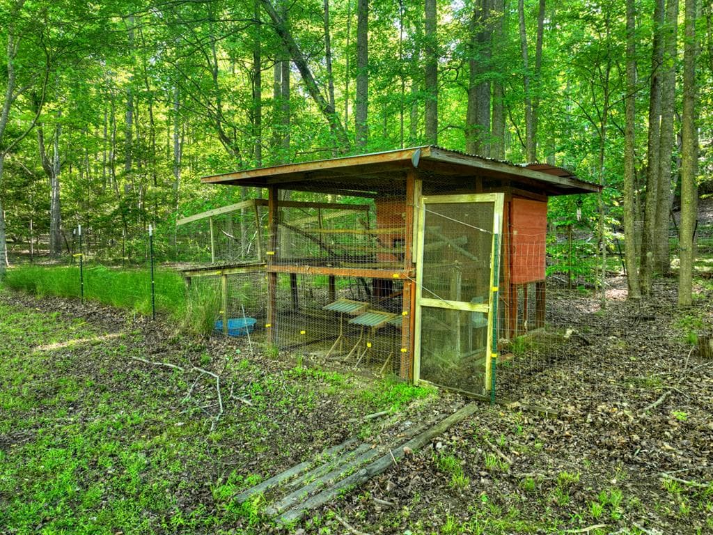 11 Mattie Mitchell Road, Morganton GA 30560 - Photo