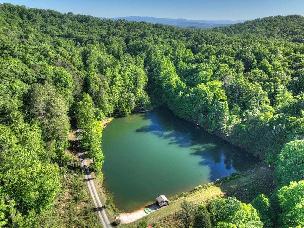 11 Mattie Mitchell Road, Morganton GA 30560 - Photo