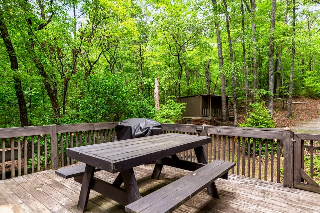 317 North Pine Road, Ellijay GA 30536 - Photo
