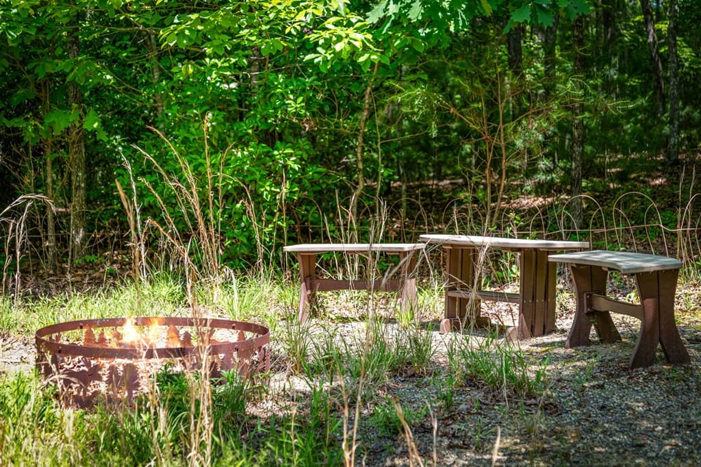 118 Foxfire Road, Blairsville GA 30512 - Photo