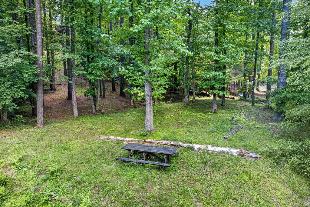 239 Reindeer Lane, Talking Rock GA 30175 - Photo