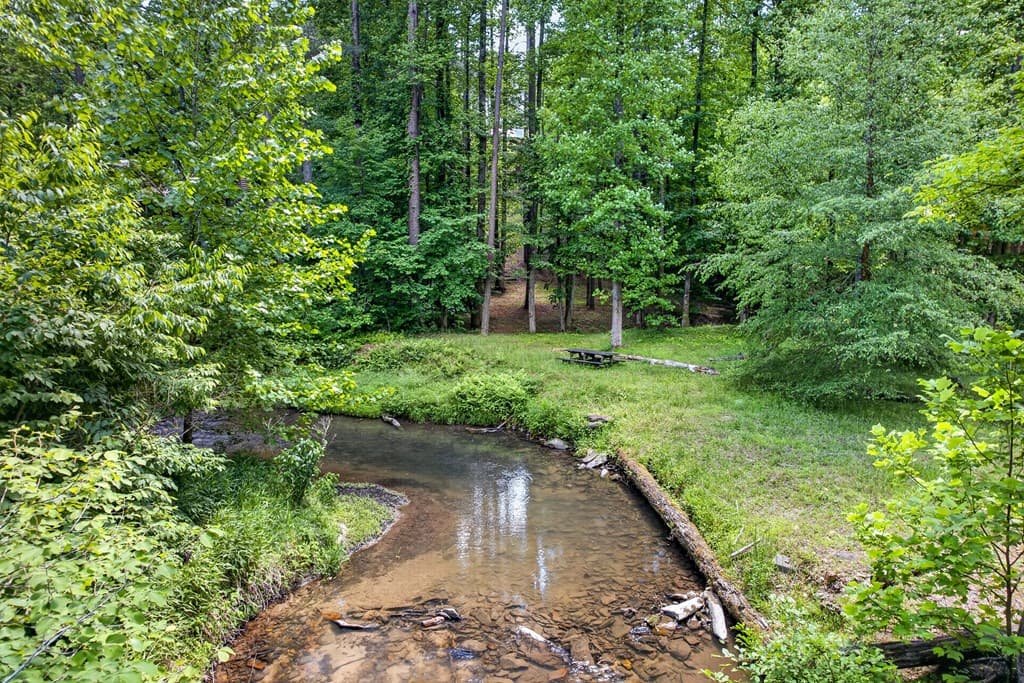239 Reindeer Lane, Talking Rock GA 30175 - Photo