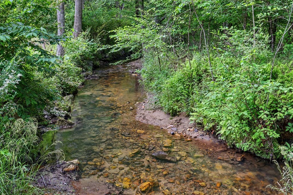 340 Misty Morning Drive, Blairsville GA 30512 - Photo