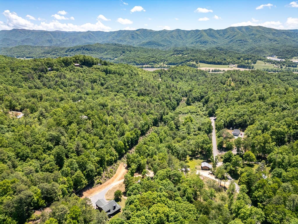 1064 Pinedale Lane, Andrews NC 28901 - Photo