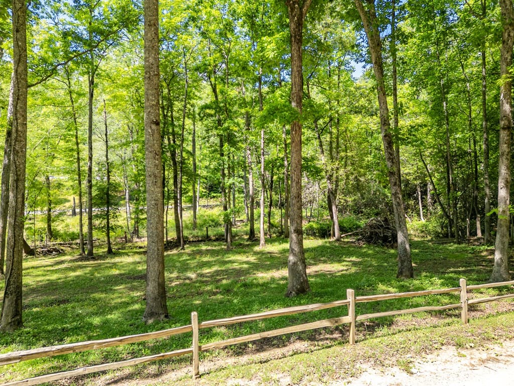 1064 Pinedale Lane, Andrews NC 28901 - Photo