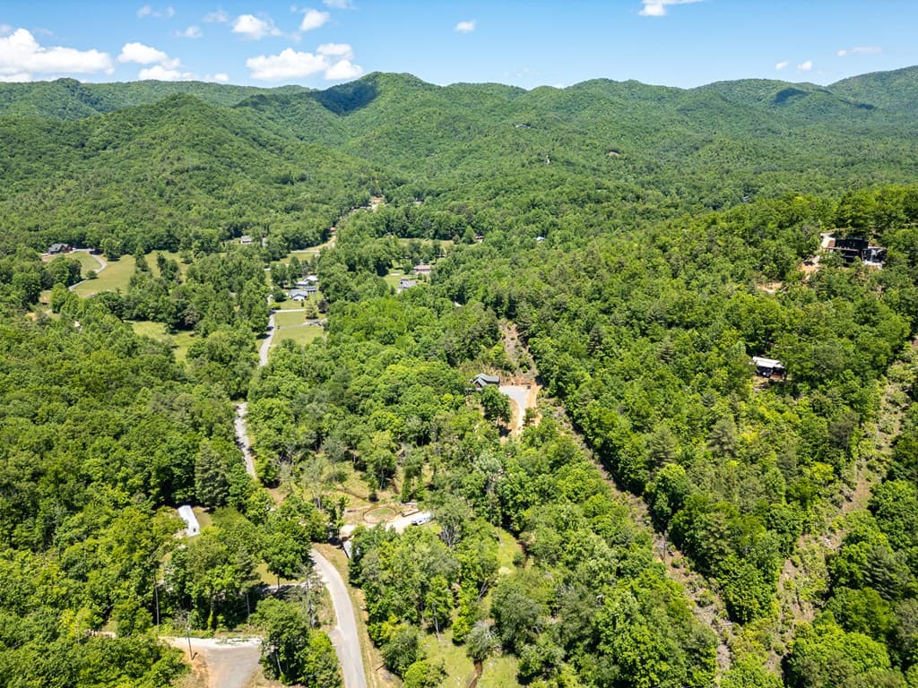 1064 Pinedale Lane, Andrews NC 28901 - Photo
