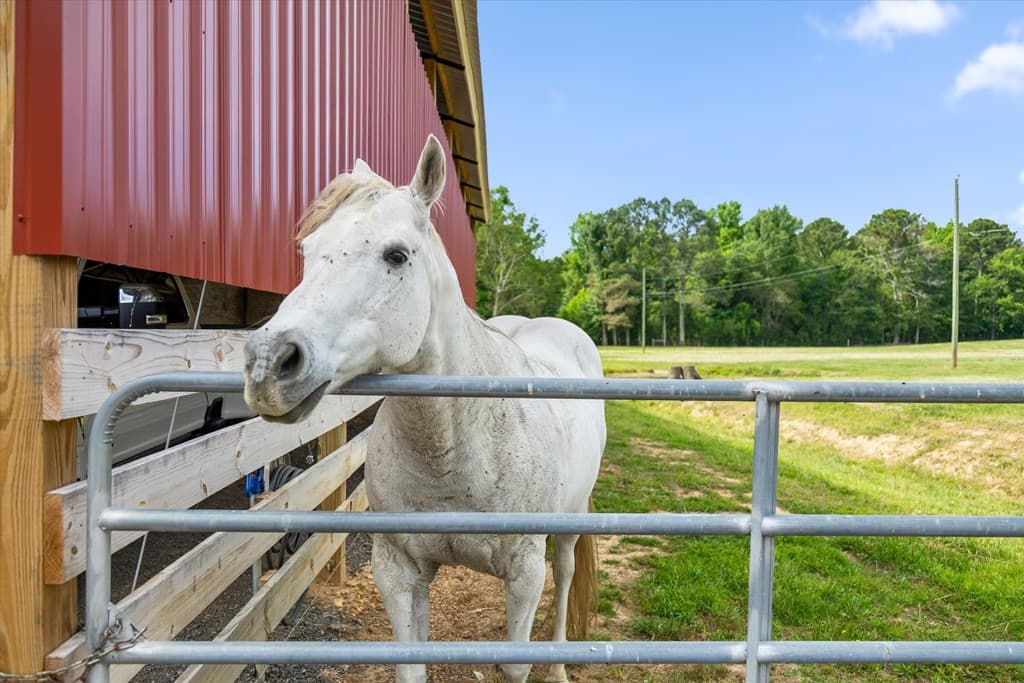 482 Glenn Howard Rd, Chatsworth GA 30705 - Photo