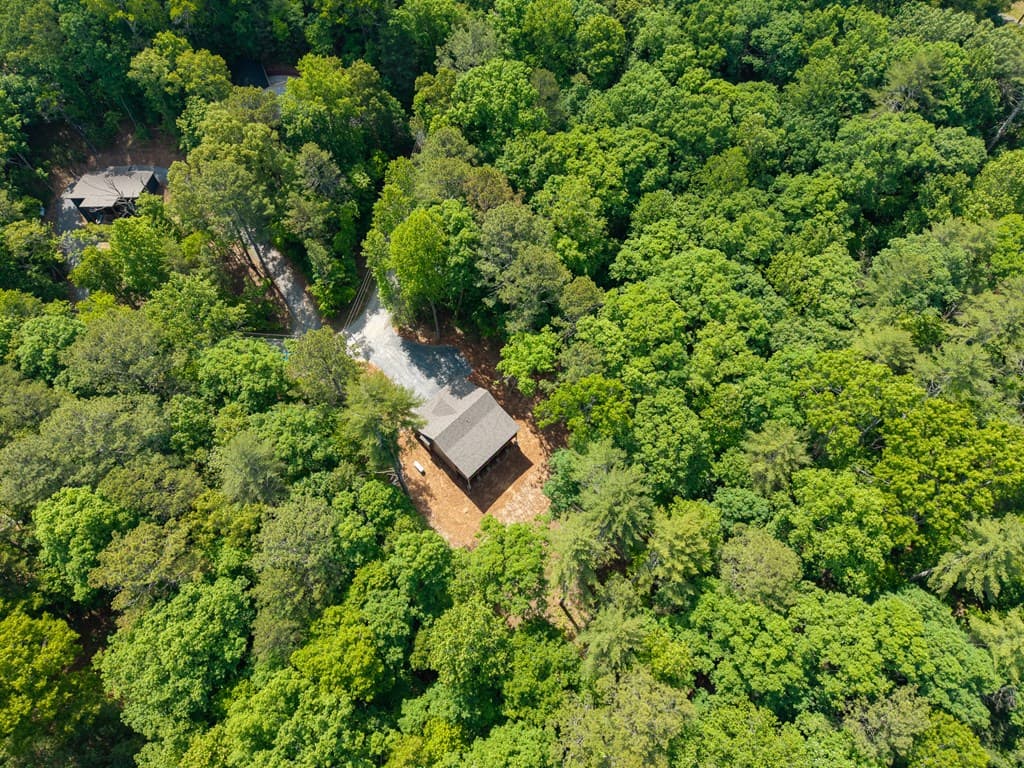 121 Orbit Lane, Ellijay GA 30540 - Photo