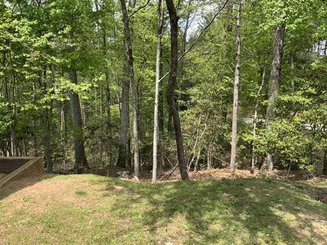 426 Shenendoa Dr., Ellijay GA 30540 - Photo