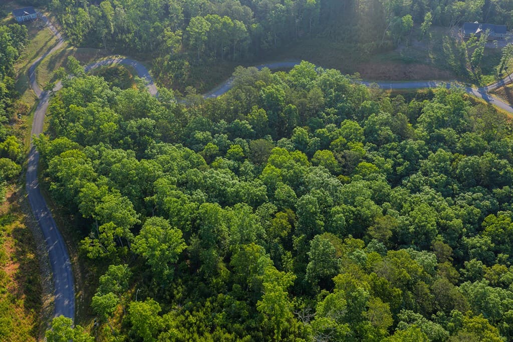 Lot 179 Canoe Point, Ellijay GA 30540 - Photo
