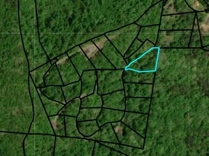 Lot 2 Anns Lane, Hayesville NC 28904 - Photo