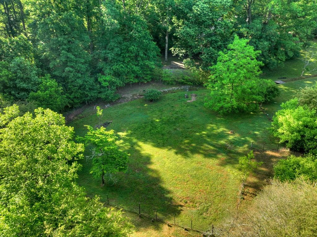 1575 Yukon Road, Ellijay GA 30540 - Photo