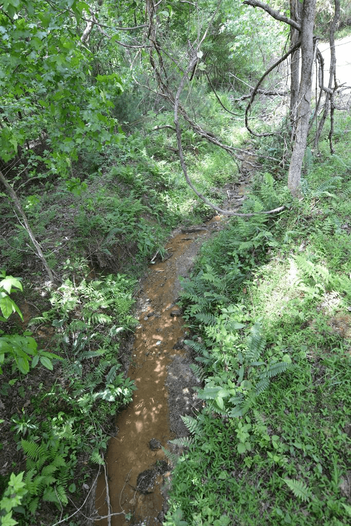 Lot 1 Murphy Hwy (Spur 60), Mineral Bluff GA 30559 - Photo