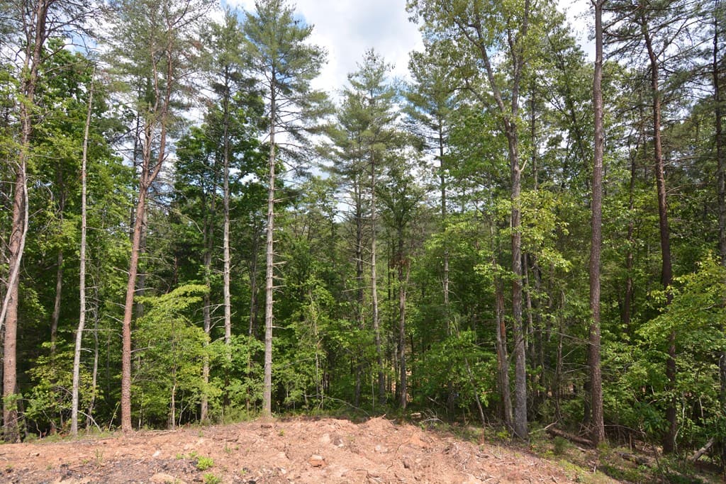 Lot 3 Murphy Hwy (Spur 60), Mineral Bluff GA 30559 - Photo