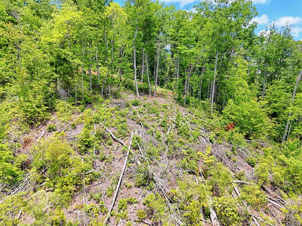 Lot 28 Bryson Creek, Murphy NC 28906 - Photo