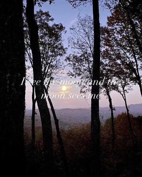772 Double Knob Road, Ellijay GA 30540 - Photo