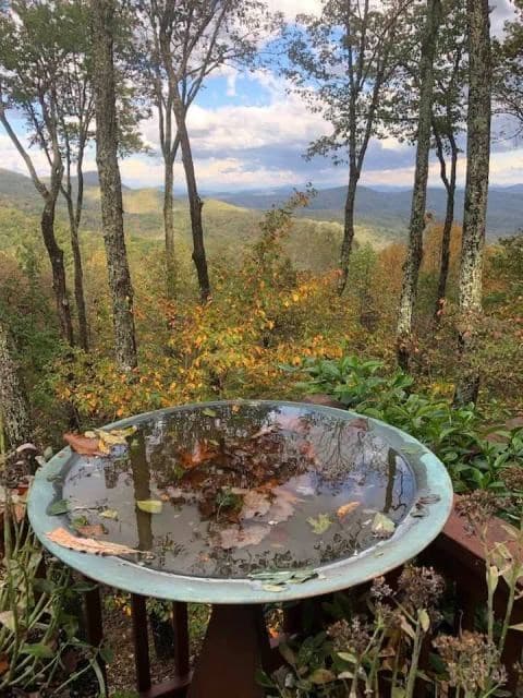 772 Double Knob Road, Ellijay GA 30540 - Photo