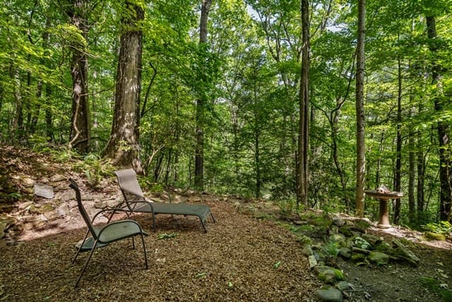 772 Double Knob Road, Ellijay GA 30540 - Photo