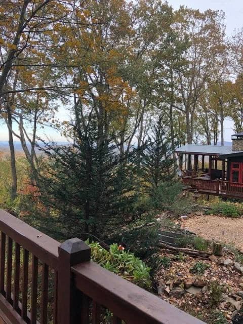 772 Double Knob Road, Ellijay GA 30540 - Photo