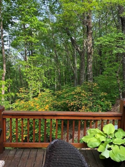 772 Double Knob Road, Ellijay GA 30540 - Photo