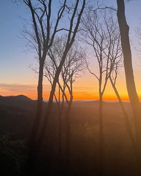 772 Double Knob Road, Ellijay GA 30540 - Photo
