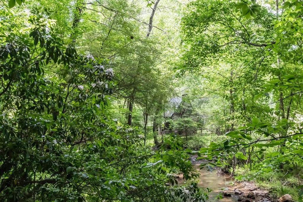 328 Black Ankle Creek Road, Cherry Log GA 30522 - Photo
