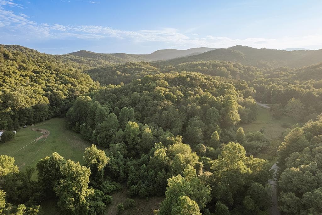 328 Black Ankle Creek Road, Cherry Log GA 30522 - Photo