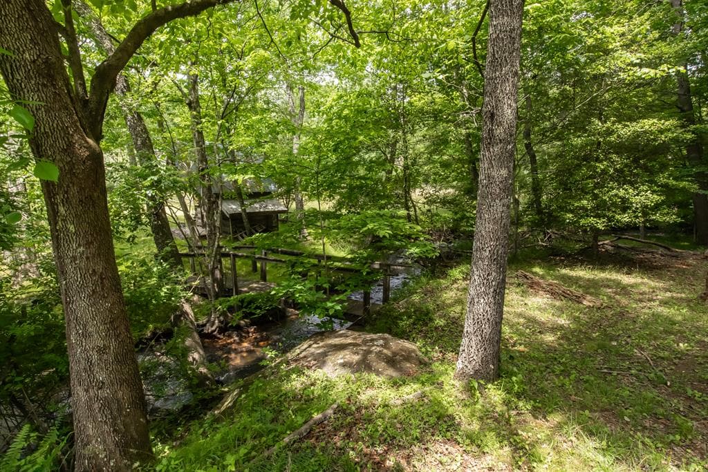 328 Black Ankle Creek Road, Cherry Log GA 30522 - Photo
