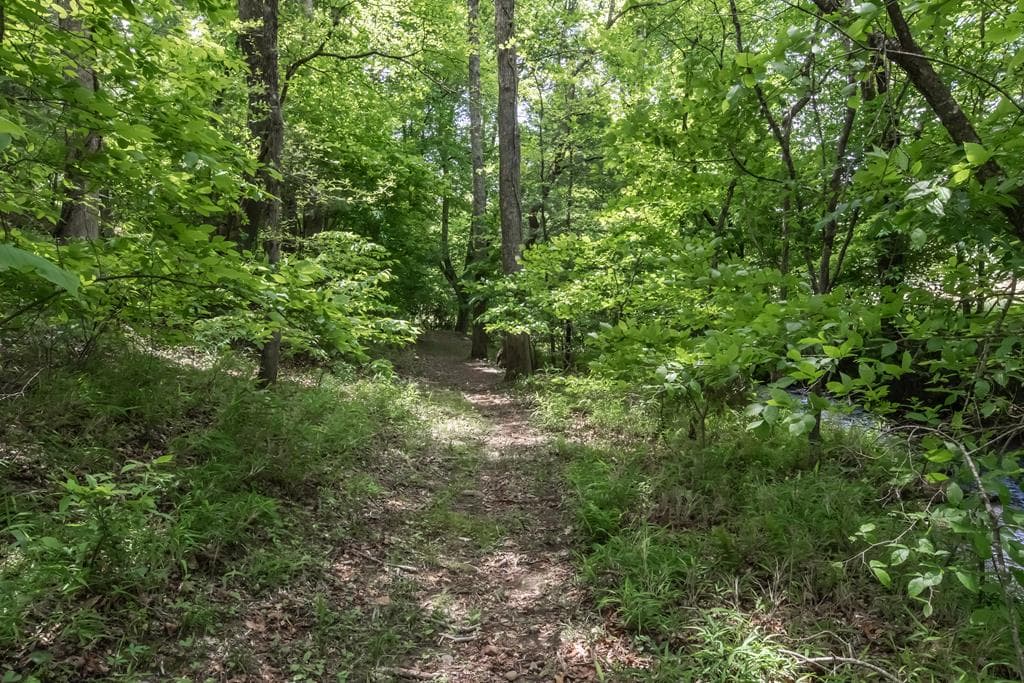 328 Black Ankle Creek Road, Cherry Log GA 30522 - Photo