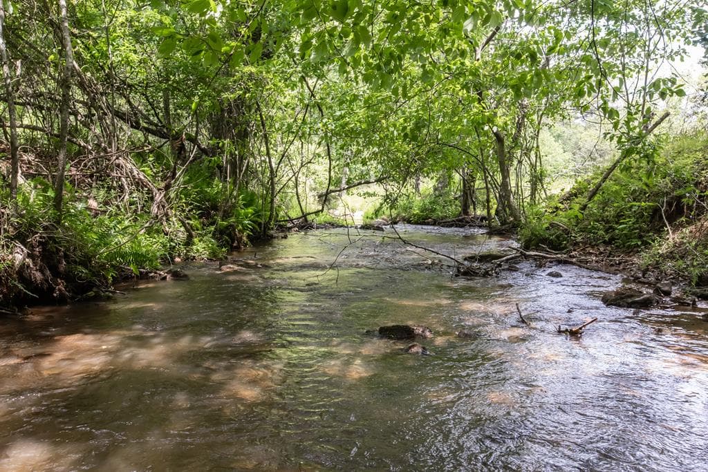328 Black Ankle Creek Road, Cherry Log GA 30522 - Photo